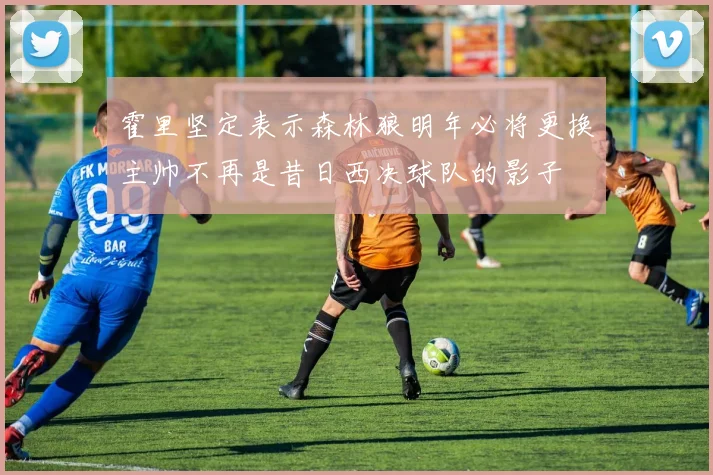 霍里坚定表示森林狼明年必将更换主帅不再是昔日西决球队的影子