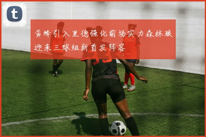 黄蜂引入里德强化前场实力森林狼迎来三球组新首发阵容
